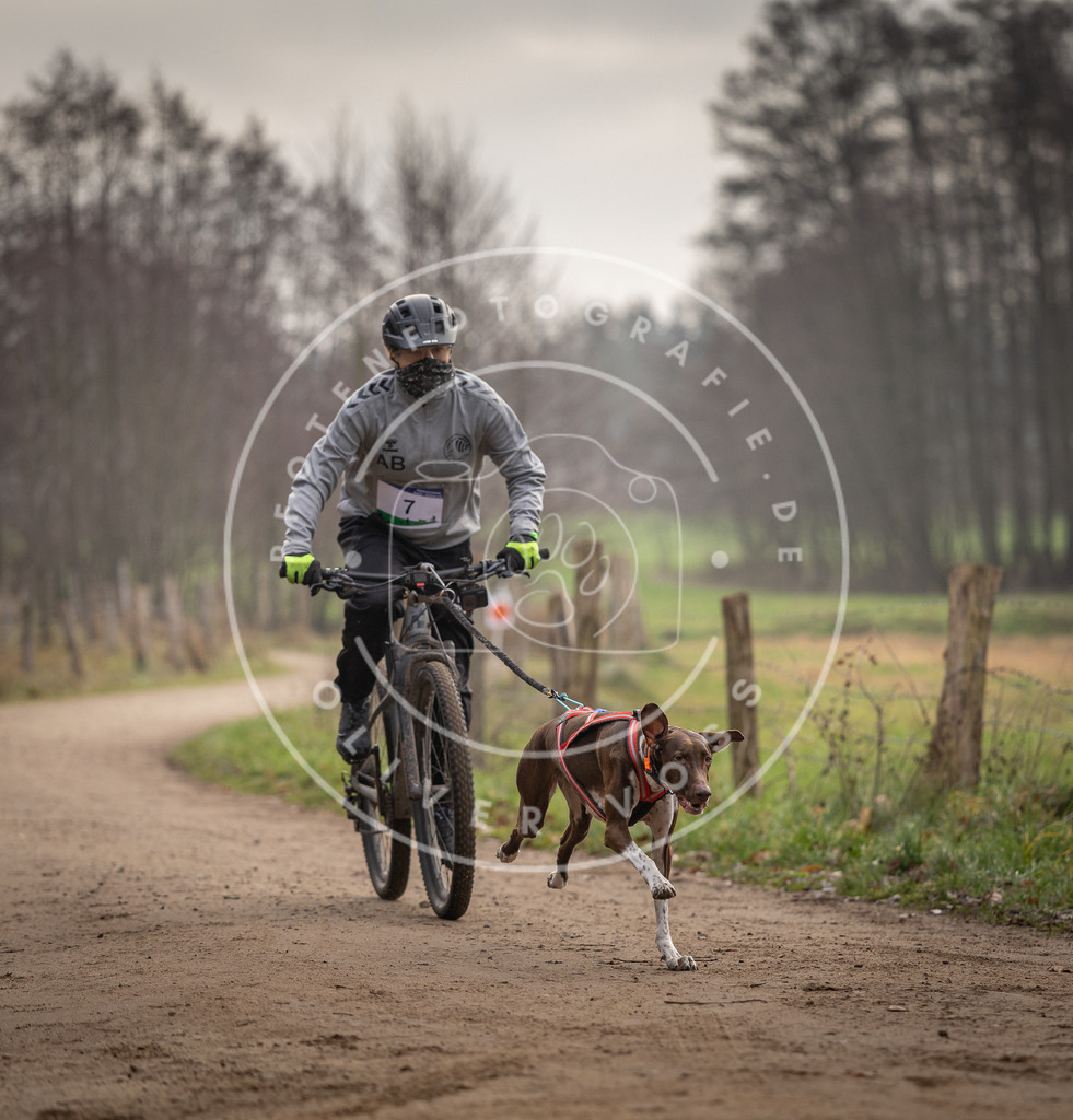 Pfotenfotografie_DV3A1633 | Hundefotografie, Tierfotograf, Pfotenfotografie, Fotoshooting Hund, Hunde Portrait, Hundesport, Hundeportraits, Heideshooting, Hunde, Sportfotograf, Hundefotograf, Turnierhundsport, THS,  - Realisiert mit Pictrs.com