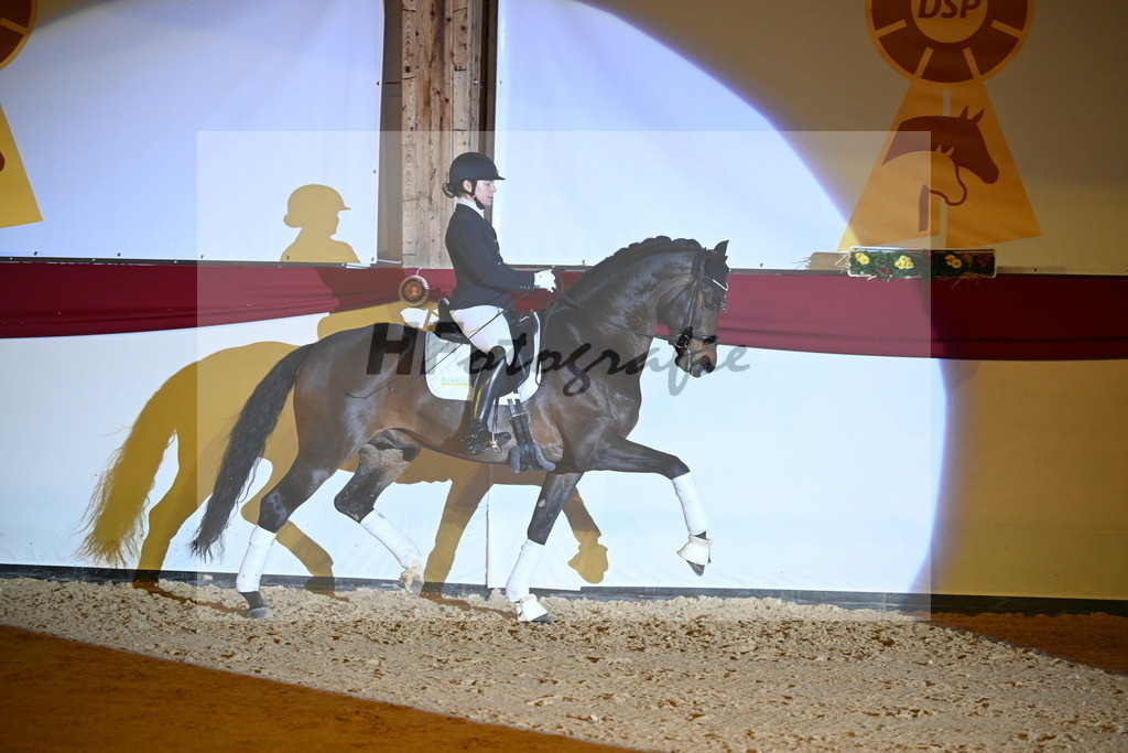 Vangelis_2242048 | hf-fotografie - Realisiert mit Pictrs.com