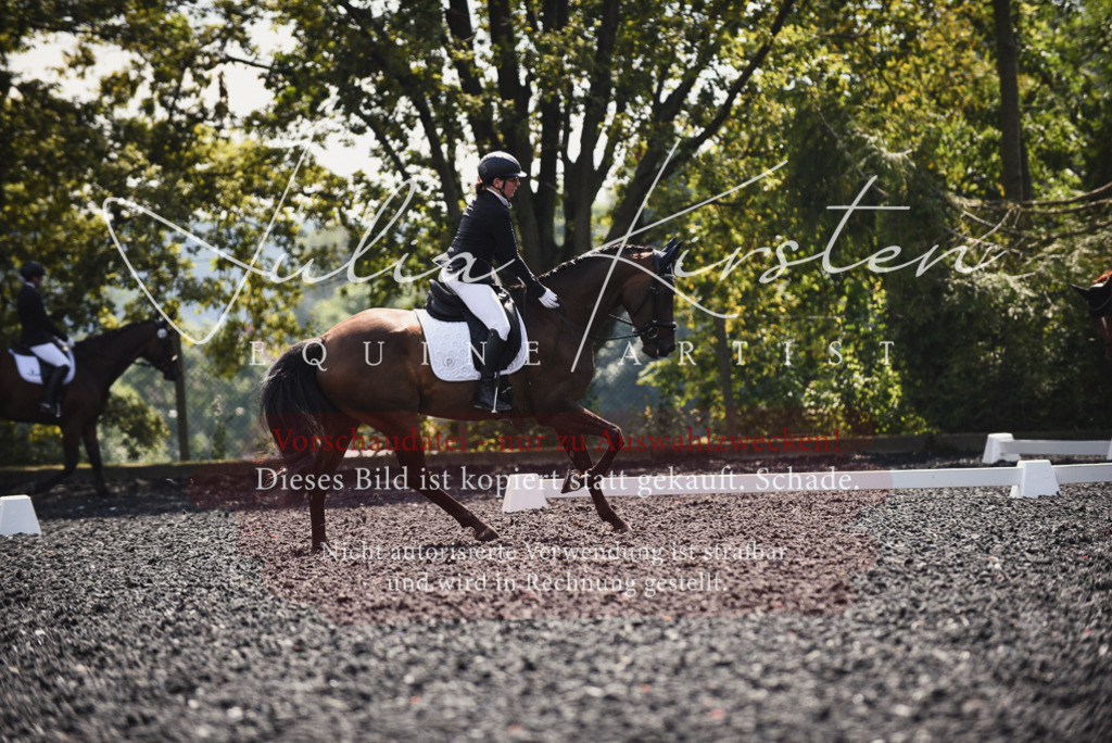 DSC_4089 | Pferde- und Turnierfotografie in Westsachsen. Pferdeportraits, Auftragszeichnungen und intuitive Kunst.