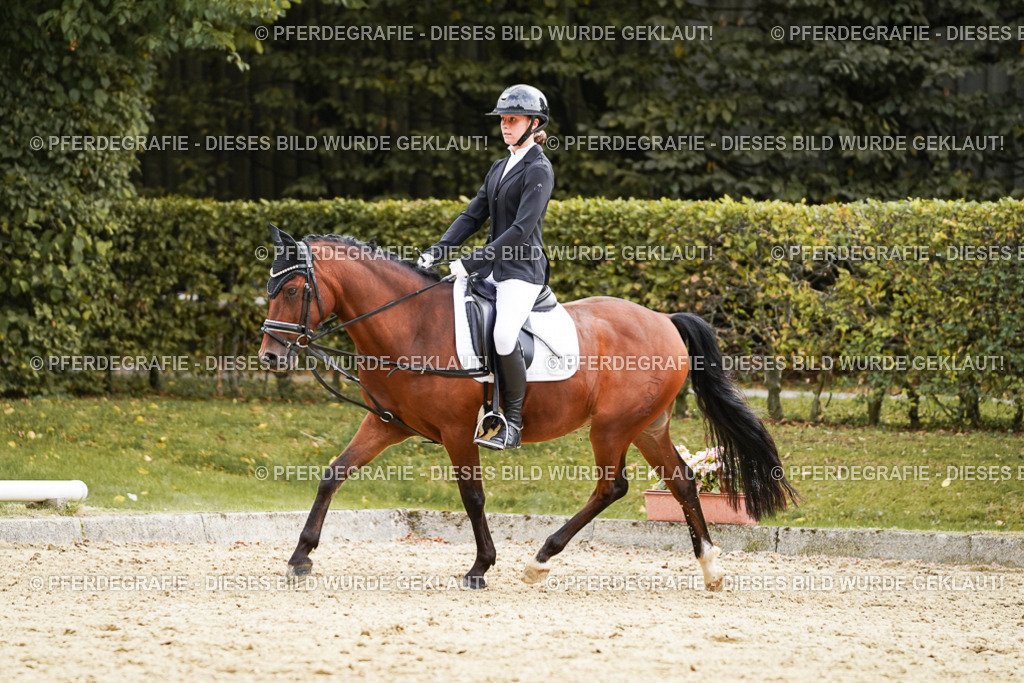 DSC00892 | Pferdegrafie