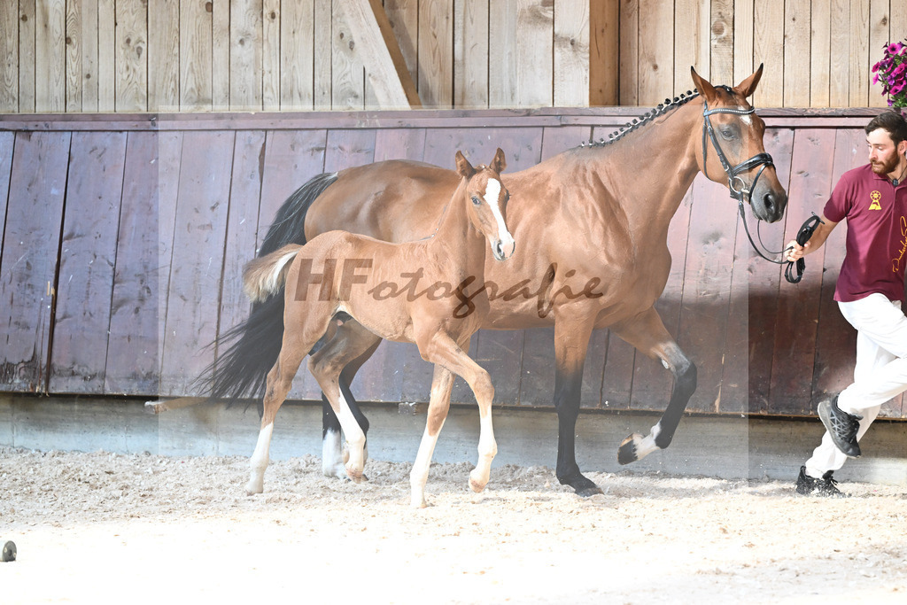 Kat-Nr. 27 HF Von Und Zu x Amazing Spirit_Sepp_32240335 | hf-fotografie - Realisiert mit Pictrs.com