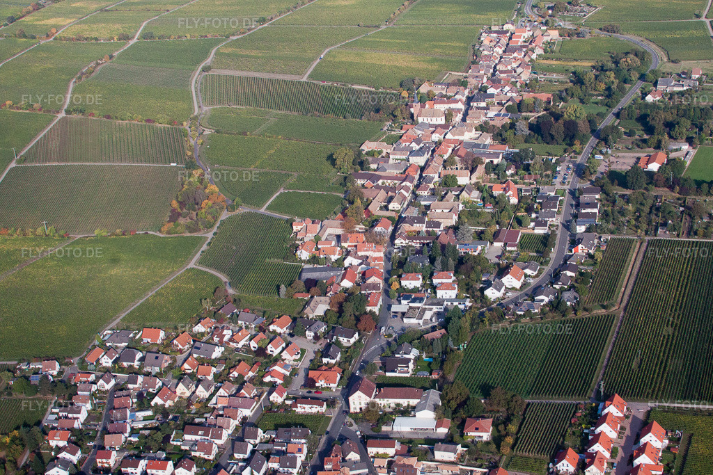Luftbild: Weinstraße in Forst an der Weinstraße im Bundesland Rheinland-Pfalz in Deutschland. Foto: IMG_21992.jpg vom 15.10.2009 durch Werner Riehm/FLY-FOTO.de