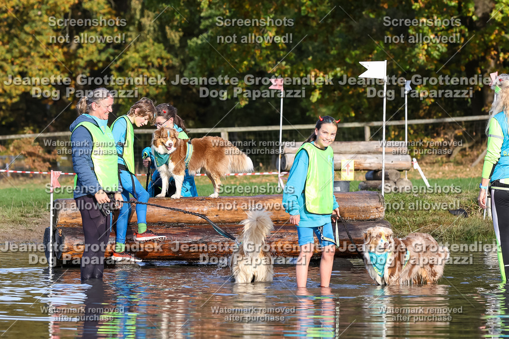 Dog Paparazzi - Strongdog 10-25-8475 | Dog Paparazzi Jeanette Grottendiek Fotografie & Videografie - Realisiert mit Pictrs.com