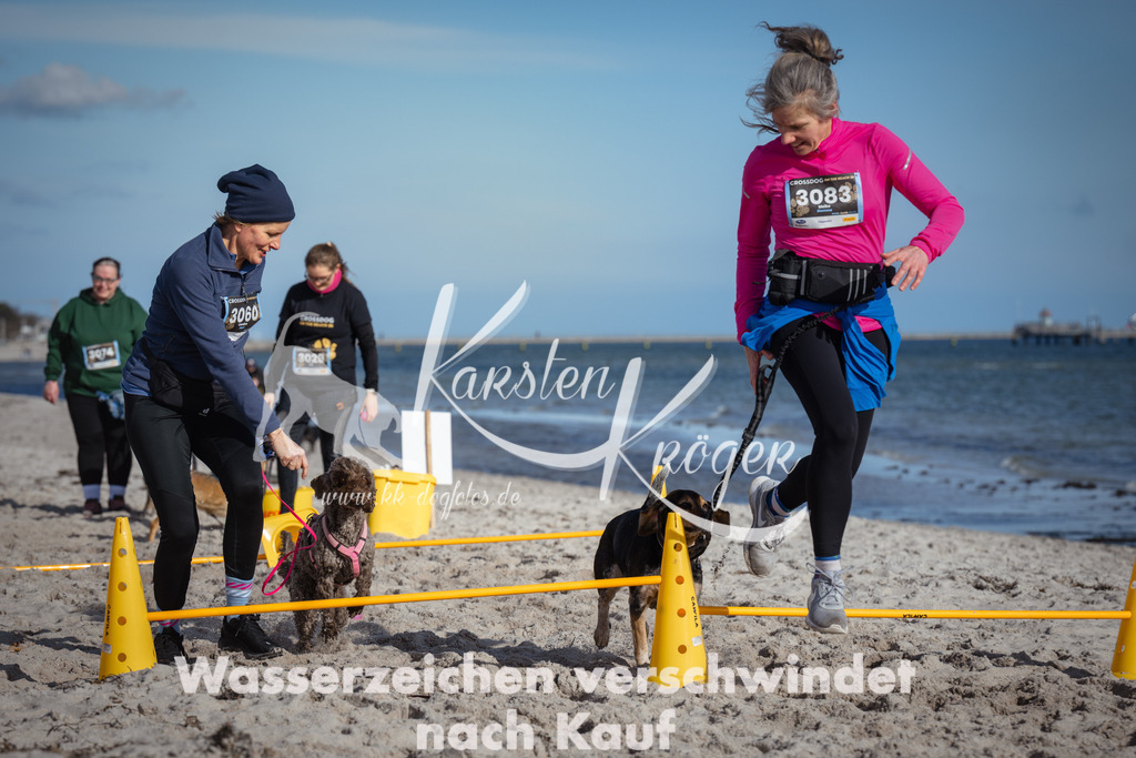 1348_ZZ93751 | kk-dogfotos