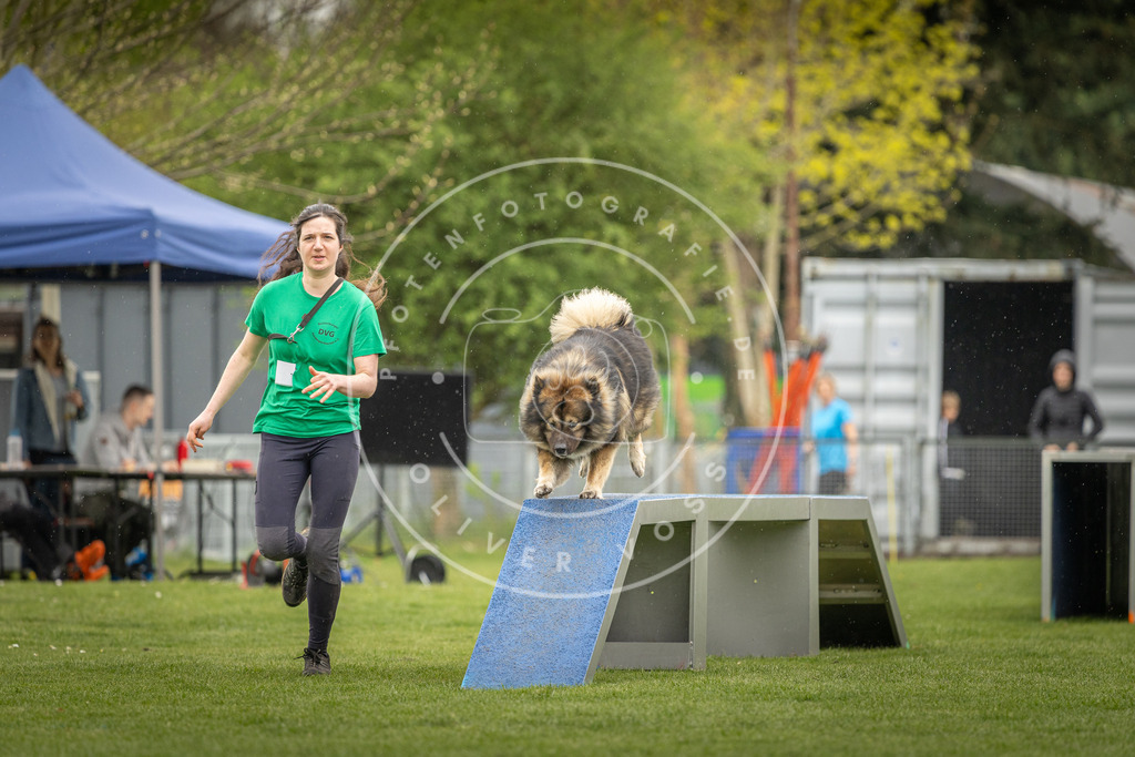 Pfotenfotografie_DV3A2926 | Hundefotografie, Tierfotograf, Pfotenfotografie, Fotoshooting Hund, Hunde Portrait, Hundesport, Hundeportraits, Heideshooting, Hunde, Sportfotograf, Hundefotograf, Turnierhundsport, THS,  - Realisiert mit Pictrs.com