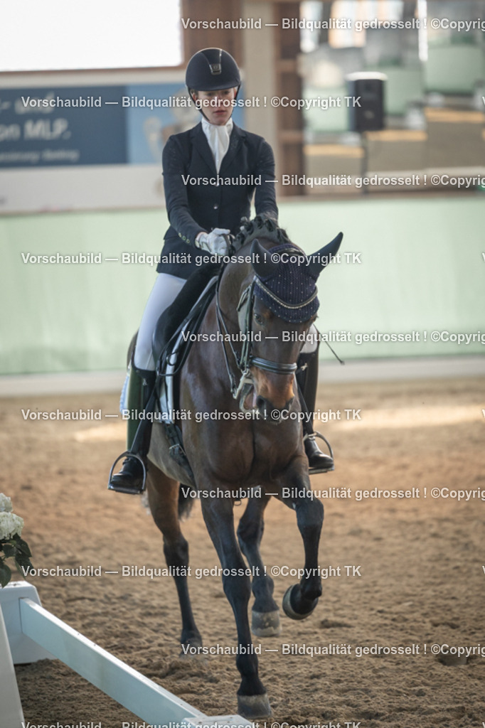 _D5A4313 | Emotionale Pferde- & People-Fotografie rund um Heidelberg, Leimen & Umgebung. Natürliche Fotos von Pferd, Mensch & Familie. Jetzt Termin sichern!