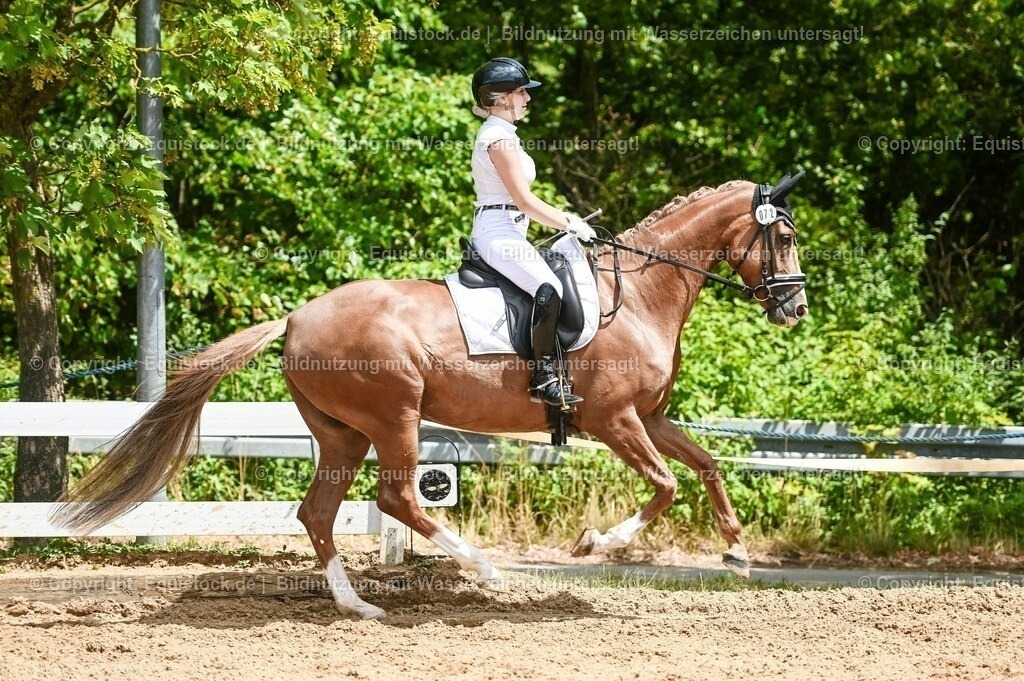 20230716_03_Dressurprfg. Kl.L - Tr._0522 | equistock