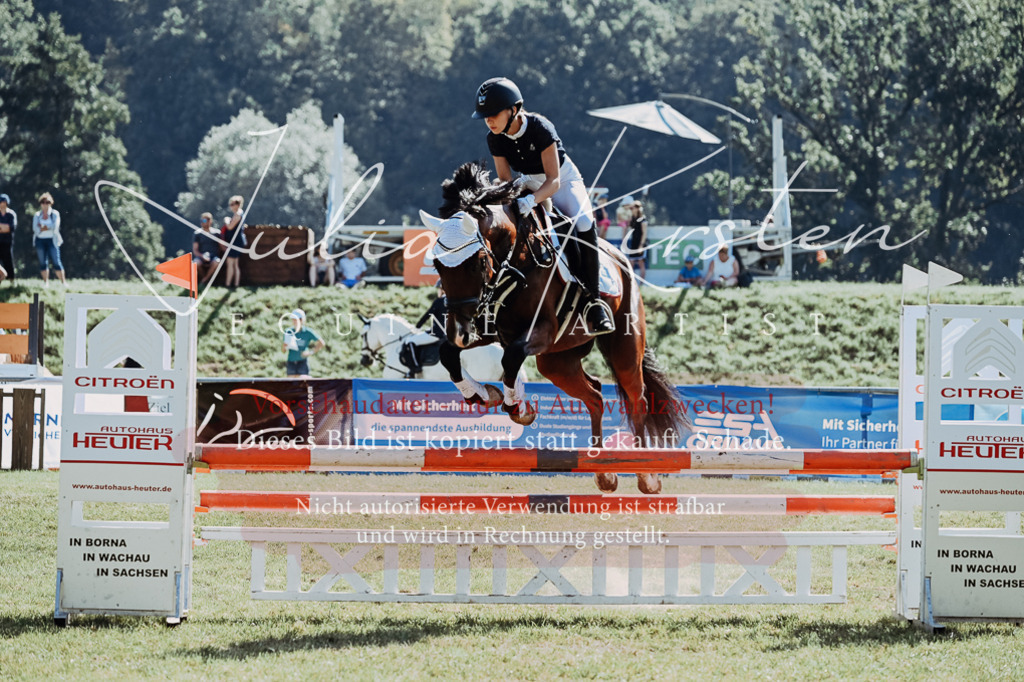 DSC_5850 | Pferde- und Turnierfotografie in Westsachsen. Pferdeportraits, Auftragszeichnungen und intuitive Kunst.