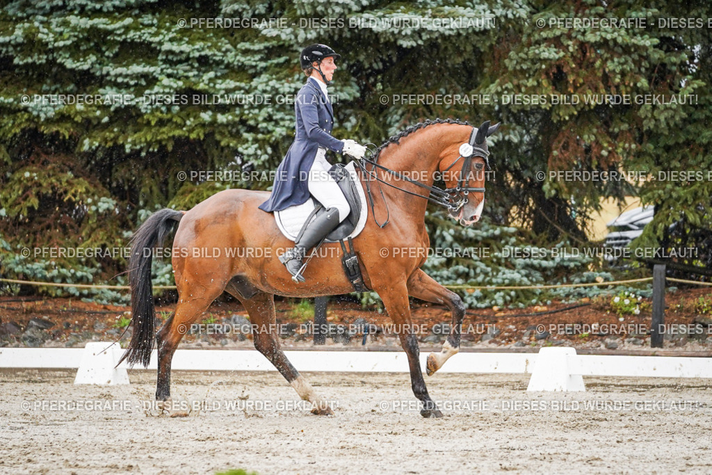 DSC08632 | Pferdegrafie