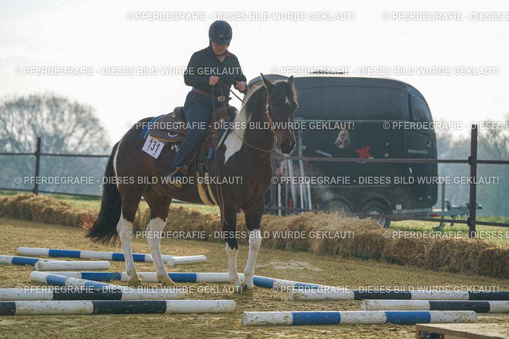 DSC09816 | Pferdegrafie