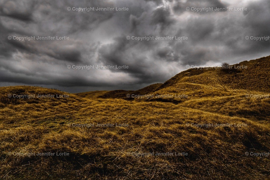 Dünen Norderney | Kreative Naturaufnahmen als hochwertige Druckprodukte kaufen. - Realisiert mit Pictrs.com