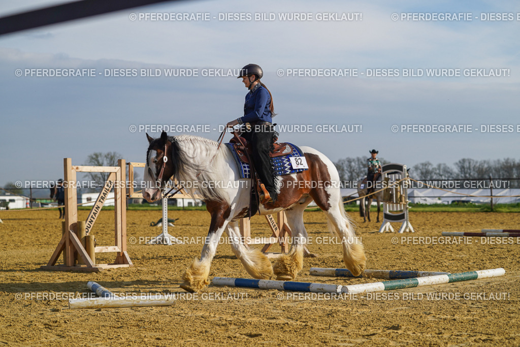 DSC00934 | Pferdegrafie