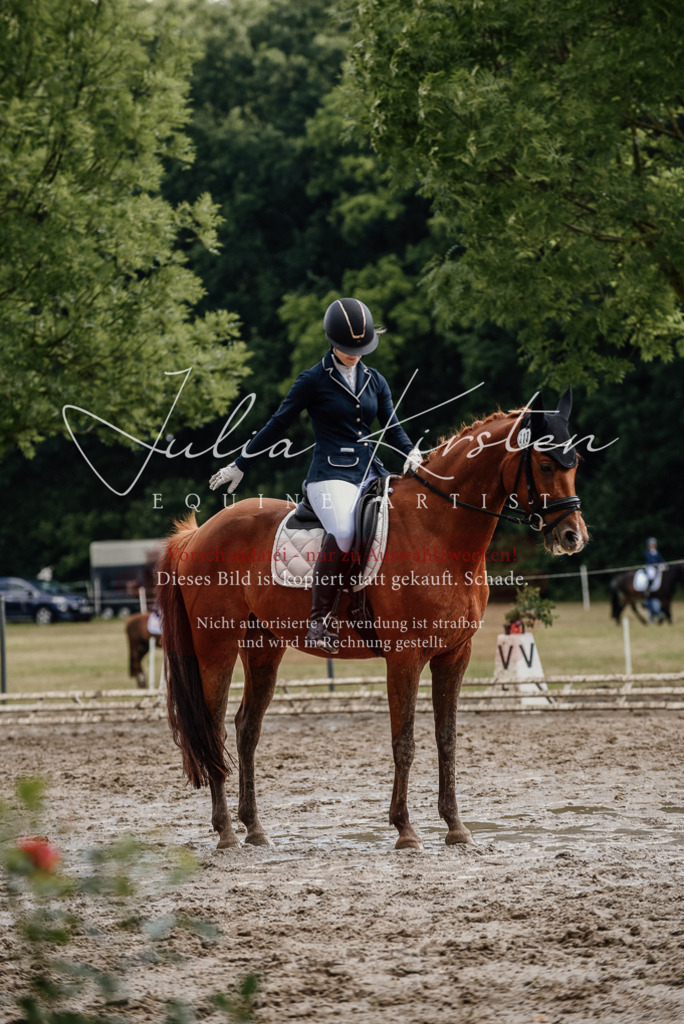 DSC_8974 | Pferde- und Turnierfotografie in Westsachsen. Pferdeportraits, Auftragszeichnungen und intuitive Kunst.