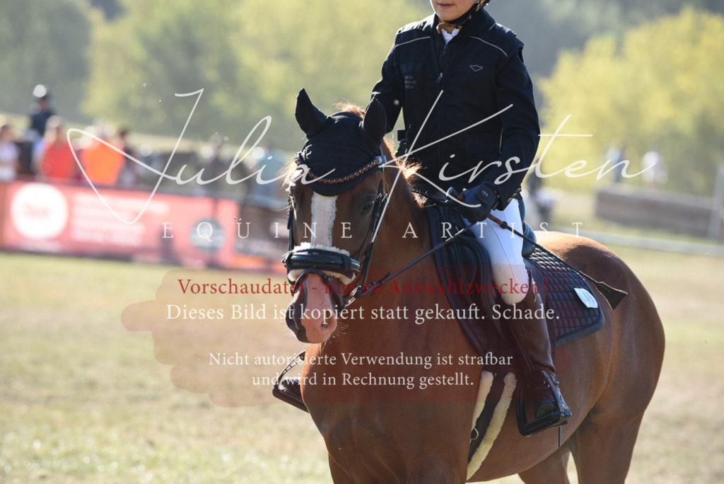 DSC_5682 | Pferde- und Turnierfotografie in Westsachsen. Pferdeportraits, Auftragszeichnungen und intuitive Kunst.