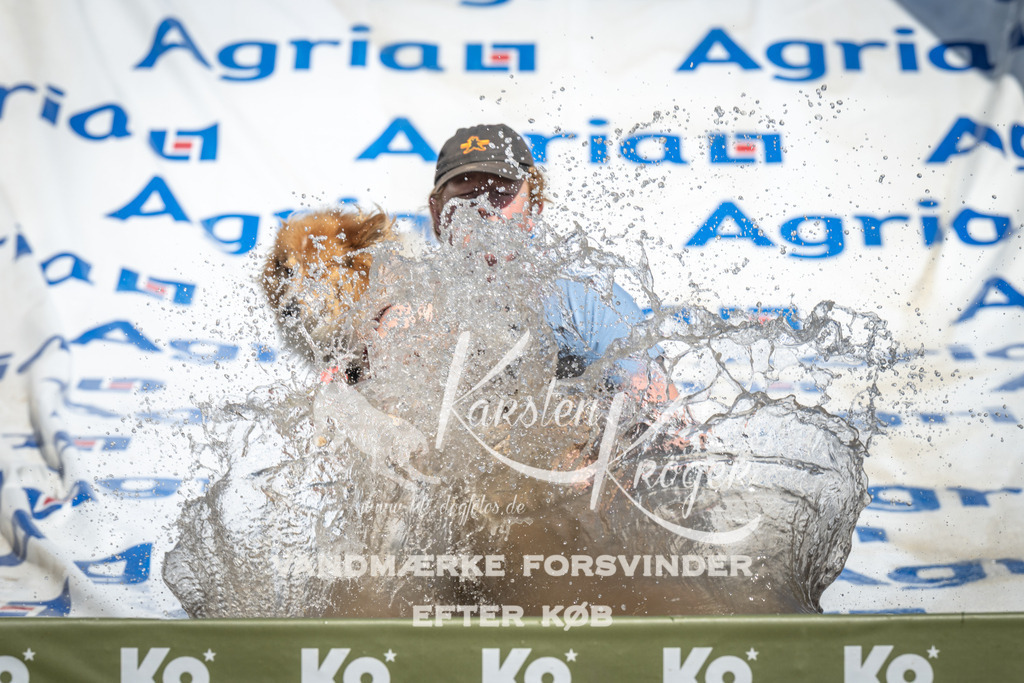 1359_ZZ91965 | kk-dogfotos