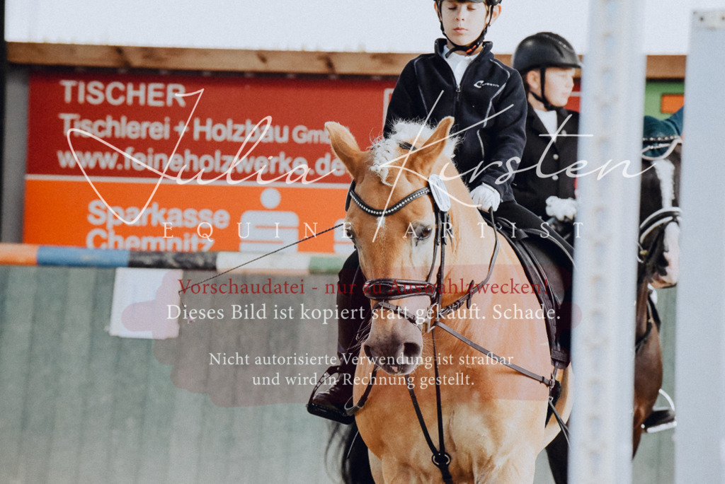 DSC_7341 | Pferde- und Turnierfotografie in Westsachsen. Pferdeportraits, Auftragszeichnungen und intuitive Kunst.