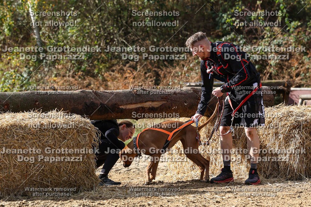 Dog Paparazzi - Strongdog 10-25-5332 | Dog Paparazzi Jeanette Grottendiek Fotografie & Videografie - Realisiert mit Pictrs.com