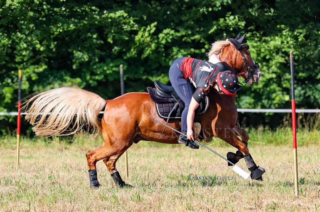 1B3A8657 | Reitsport Reiten
