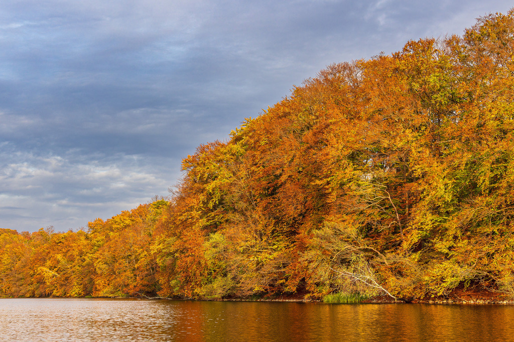 Blick über den See Schmaler Luzin auf die herbstliche Feldberger Seenlandschaft | Blick über den See Schmaler Luzin auf die herbstliche Feldberger Seenlandschaft.