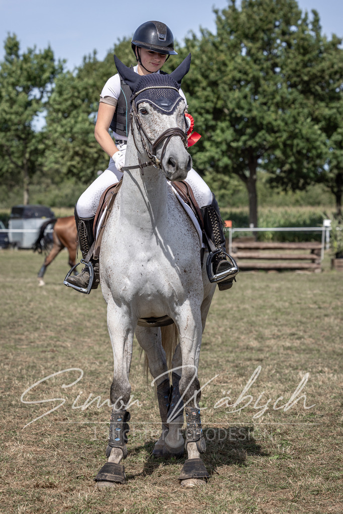 20250907-_3LI0260 | Tierfotografie Pferde, Hunde, Katzen, Haustiere.
Turnierfotografie Reitturniere, Reiten, Springreiten, Dressur in Hanau, dem Main-Kinzig-Kreis und dem Rhein-Main- Gebiet um Frankfurt