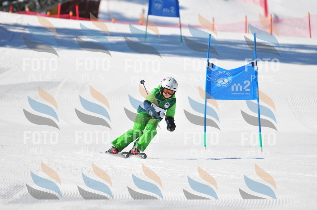 C2871 | holidayphoto