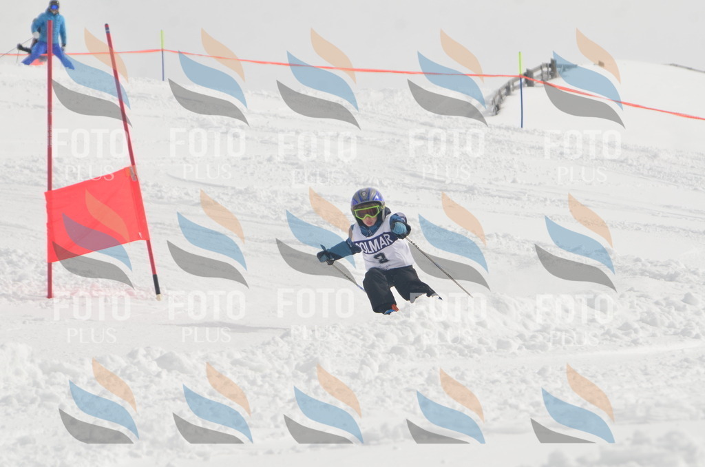 A5057 | holidayphoto