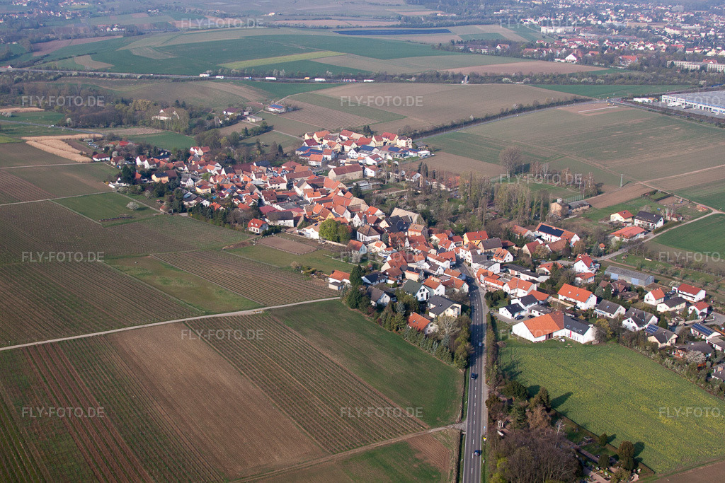 Luftbild: Dorfansicht in Gau-Heppenheim im Bundesland Rheinland-Pfalz in Deutschland. Foto: IMG_49714.jpg vom 13.04.2012 durch Werner Riehm/FLY-FOTO.de
