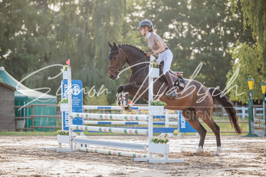 20260529-_3LI1118 | Tierfotografie Pferde, Hunde, Katzen, Haustiere.
Turnierfotografie Reitturniere, Reiten, Springreiten, Dressur in Hanau, dem Main-Kinzig-Kreis und dem Rhein-Main- Gebiet um Frankfurt