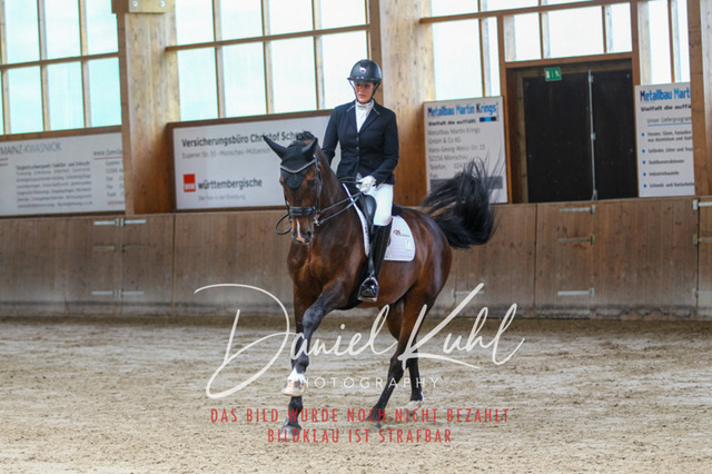 DKP45655 | Turniersportfotografie; Pferdefotografie; Dressurfotografie