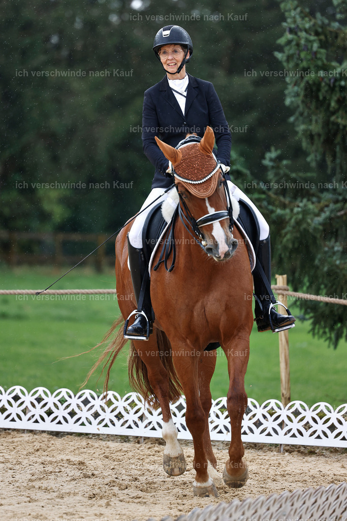 05-060-DRESSUR M_  -StoibPH-4922 | working equitationturnier fotograf videograf stoibphotography marixx film working equitation deutschland reitsport turnierfotografie eventfotografie equestrian events