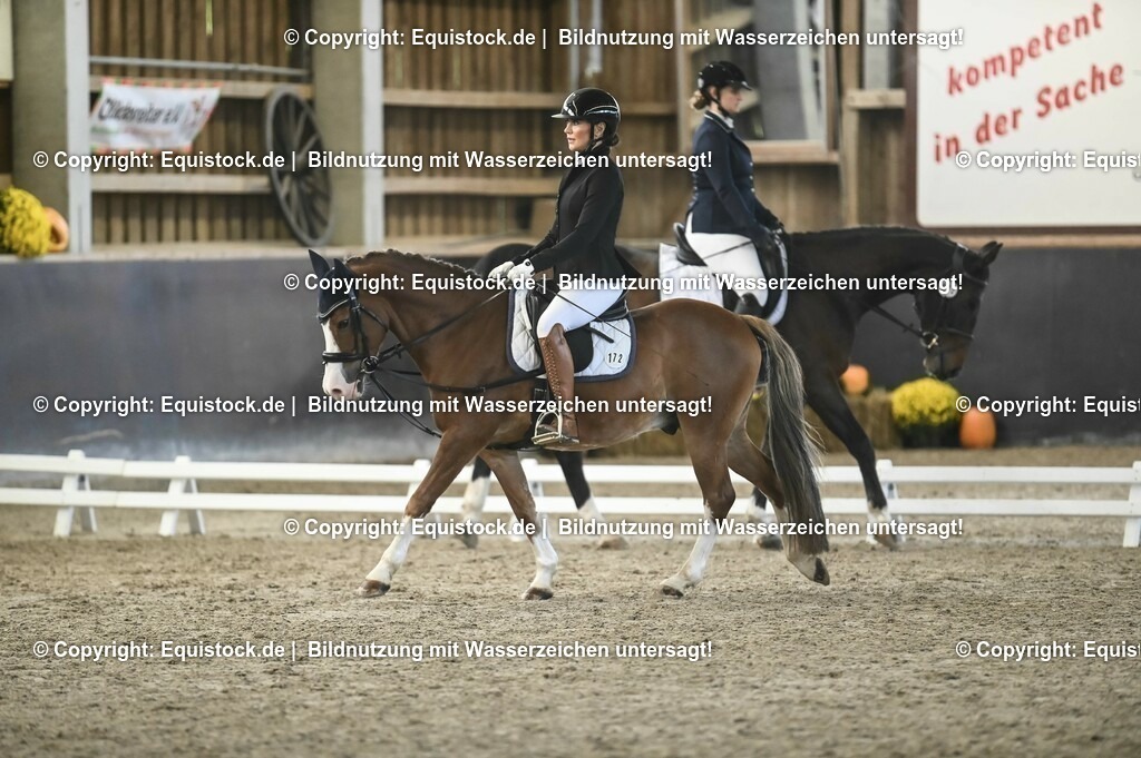 03_Reiter-WB_0058 | Foto: Thomas Hartig
