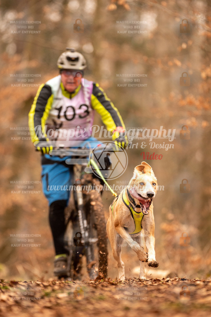 AKM_ST_2023_SAM_Bike-112 | PayLife