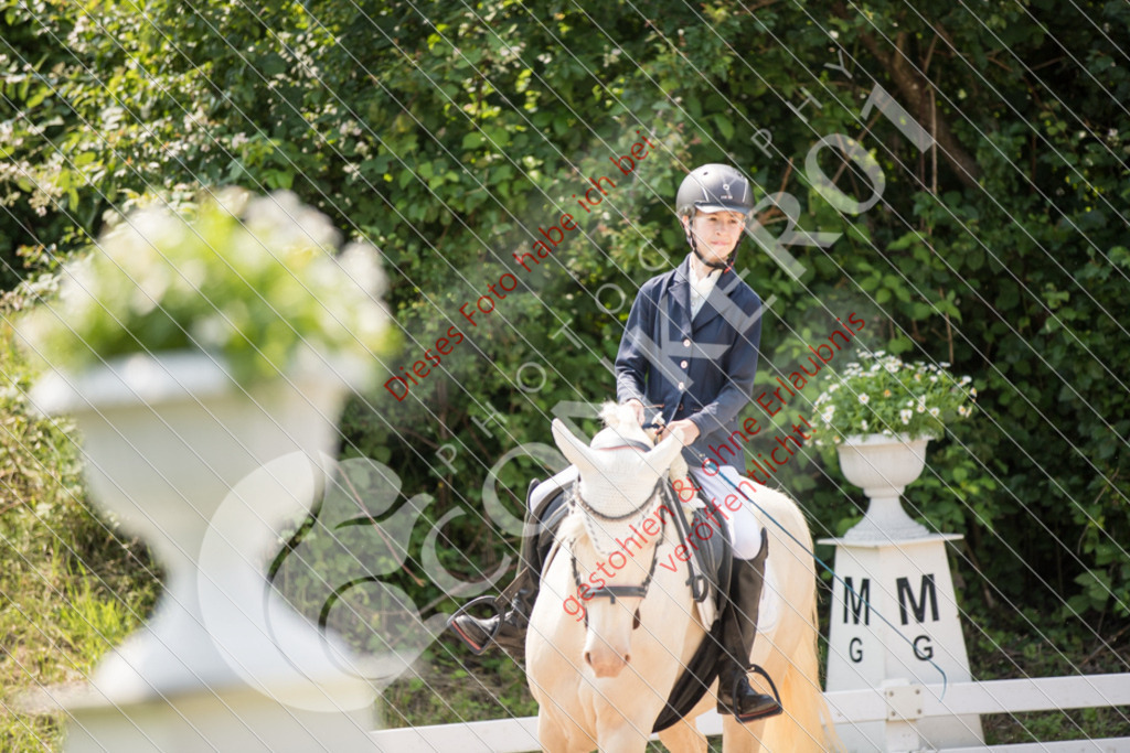 IMG_3830 | Sport-, Event- und Tierfotos in Profiqualität. Einfach auswählen, bestellen und herunterladen. Dein Moment – perfekt festgehalten.