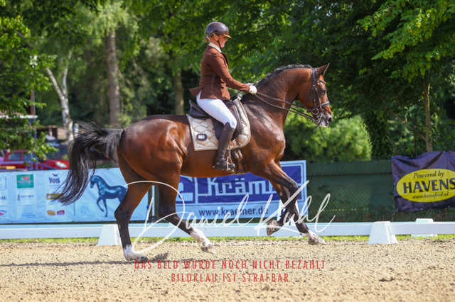 DKP41138 | Turniersportfotografie; Pferdefotografie; Dressurfotografie