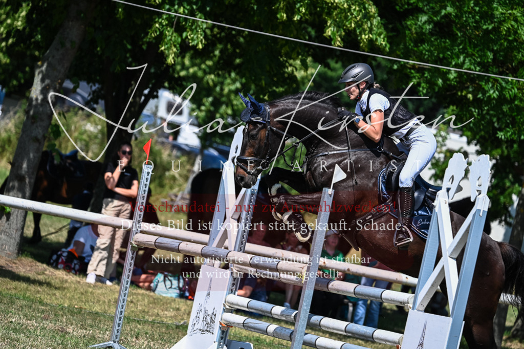 DSC_1112 | Pferde- und Turnierfotografie in Westsachsen. Pferdeportraits, Auftragszeichnungen und intuitive Kunst.