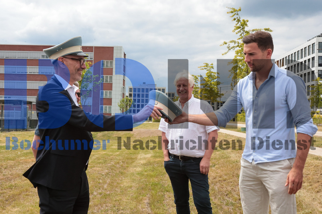 Eicheingrabung | Eicheingrabung - Realisiert mit Pictrs.com