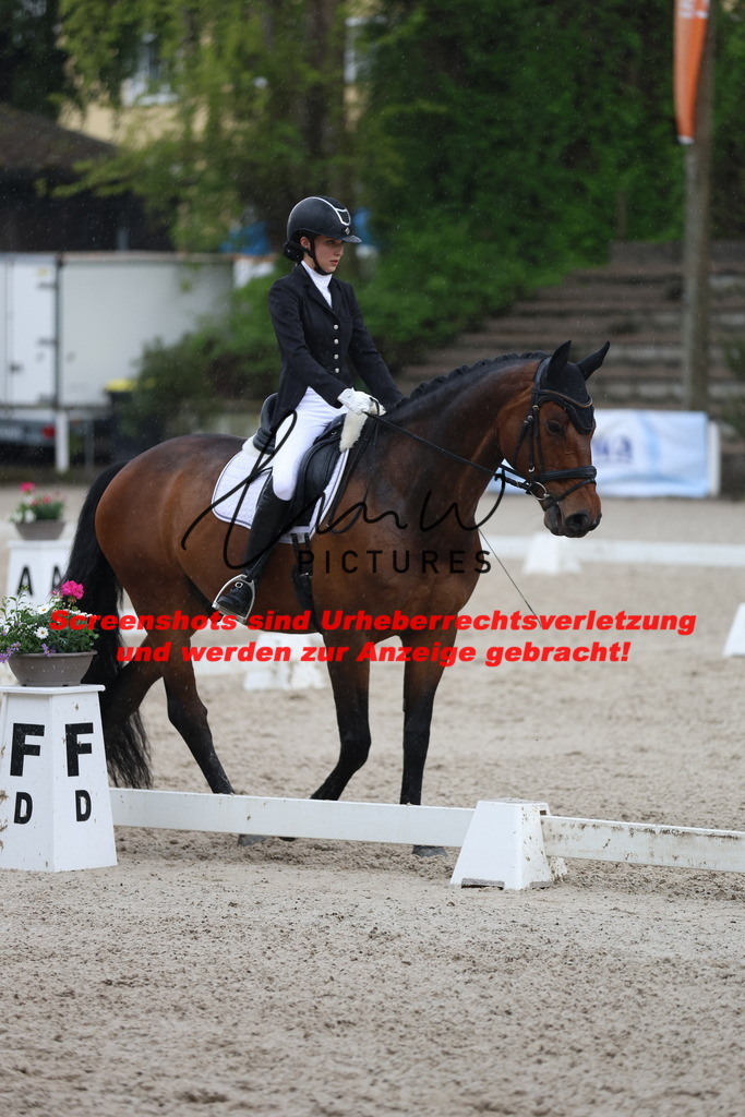 A40A8934 | lmwpictures - Realisiert mit Pictrs.com