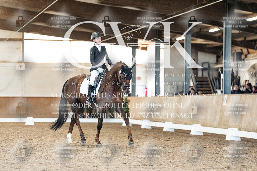 CK909518 | Turnierfotografie Pferdefotografie Trier Rheinland-Pfalz Pferdesport Reitsport Tierfotografie Sportfotografie Pferdevideo Pferdevideografie Equestrianvideography equestrianphotography  - Realisiert mit Pictrs.com