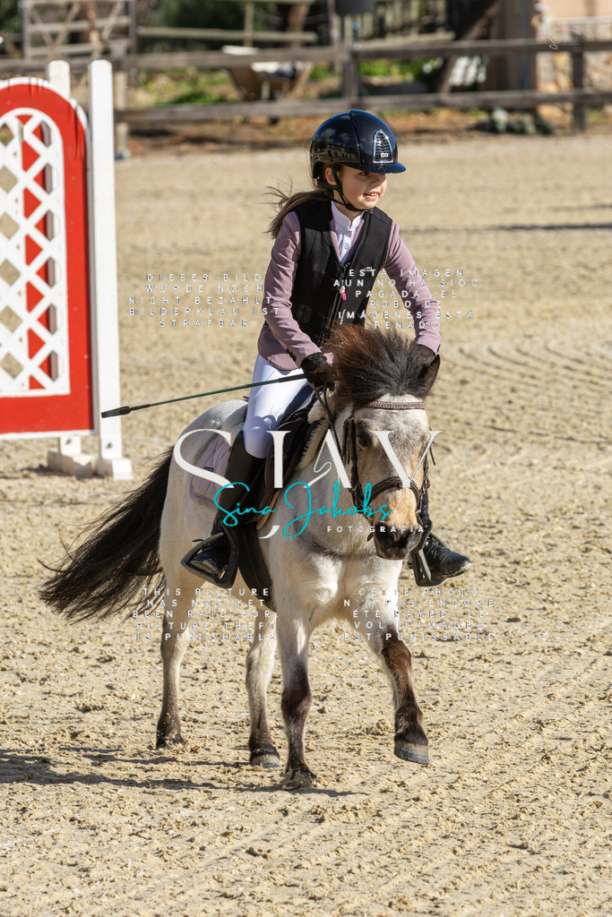 IMG_3513 | s-jay-photography - Realisiert mit Pictrs.com