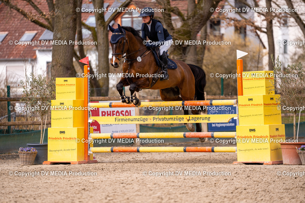 Kranichstein Tag 2-496 | dv-media-shop - Realisiert mit Pictrs.com