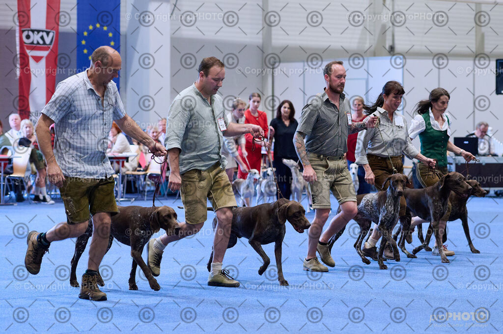 202406_ÖKV-IHA-Tulln24_DSC_3761 | proPHOTO - Realisiert mit Pictrs.com