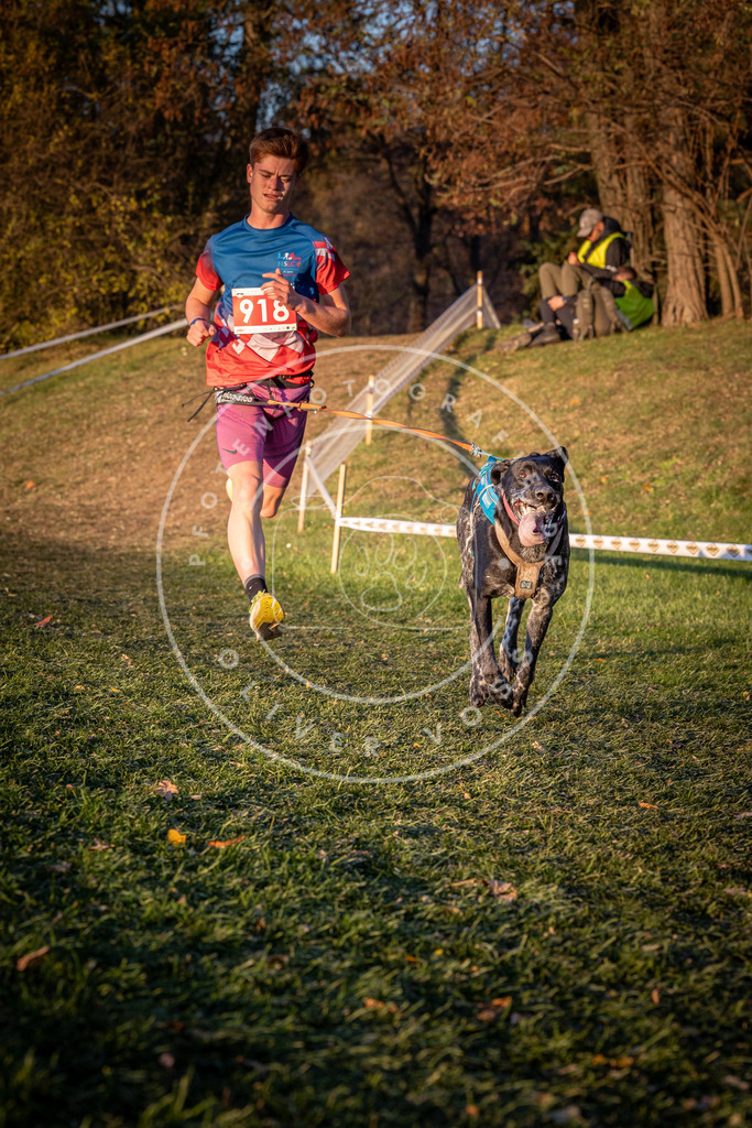 CaniXpix_0L8A1543 | Hundefotografie, Tierfotograf, Pfotenfotografie, Fotoshooting Hund, Hunde Portrait, Hundesport, Hundeportraits, Heideshooting, Hunde, Sportfotograf, Hundefotograf, Turnierhundsport, THS,  - Realisiert mit Pictrs.com