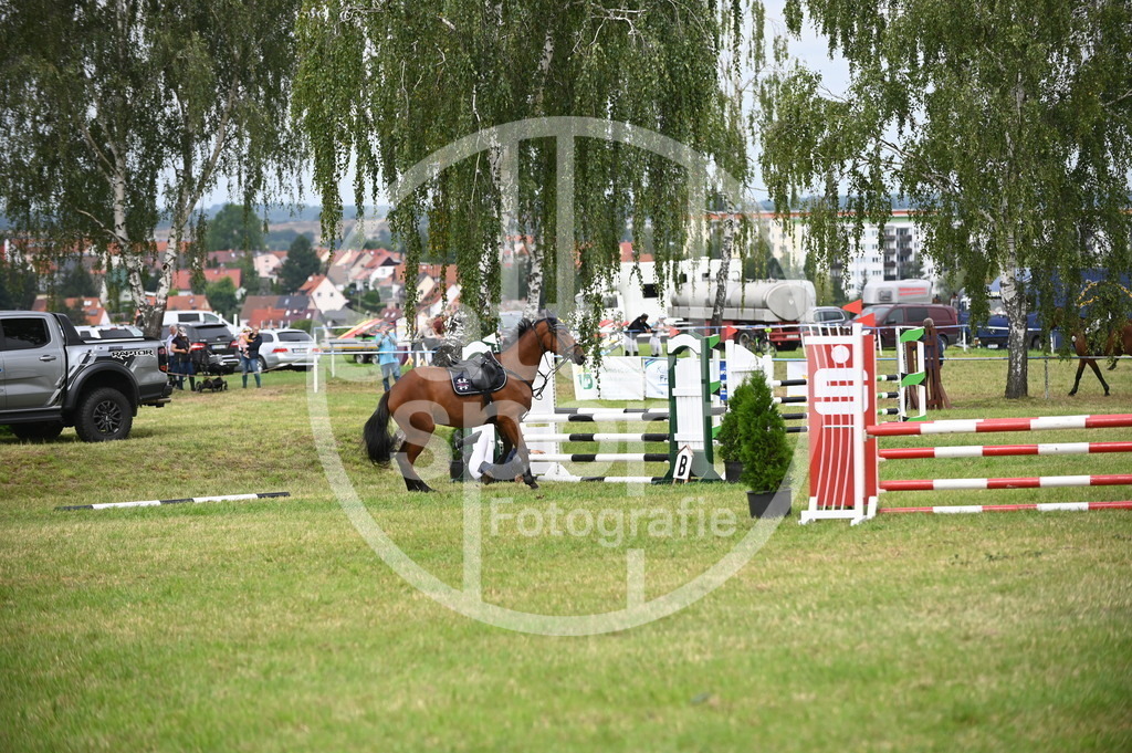 DSC_1784 | sattelsport - Realisiert mit Pictrs.com