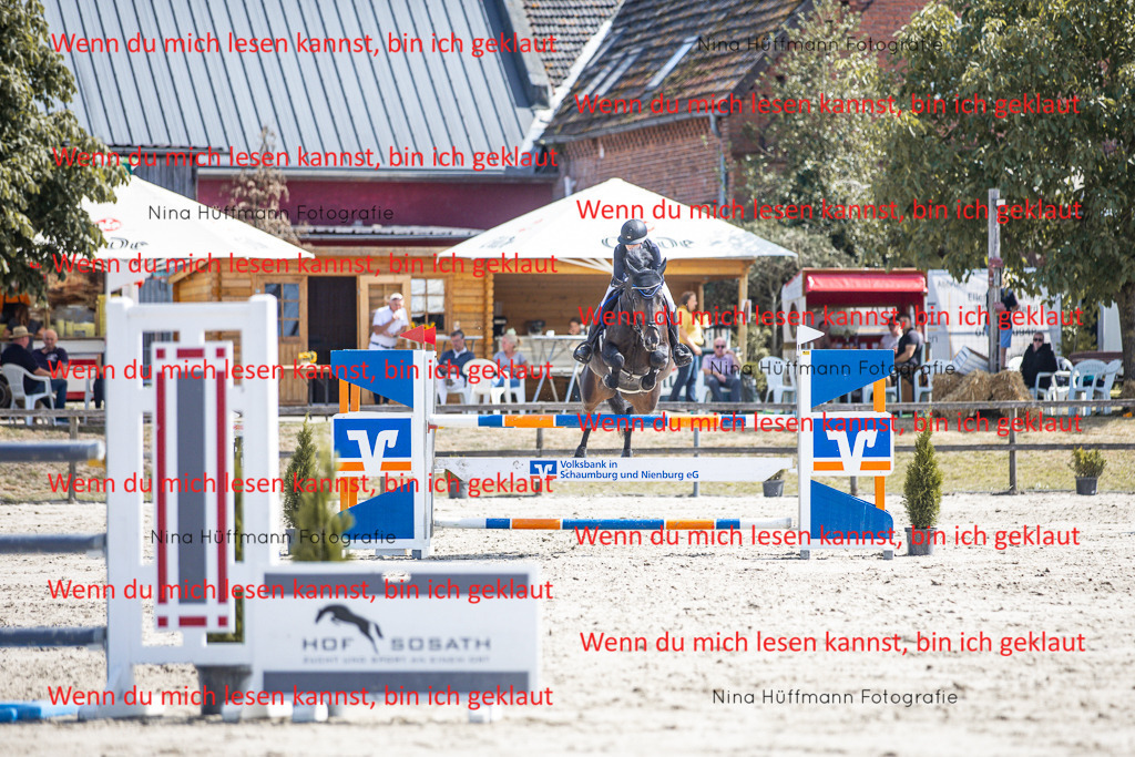 BK1A6538 | Turnierbilder Turnierfotos Nina Hüffmann Turnierfotografie Pferdefotografie Tierzeichnung Haustierzeichnung Pferdezeichnung Hundezeichnung Videograf  - Realisiert mit Pictrs.com