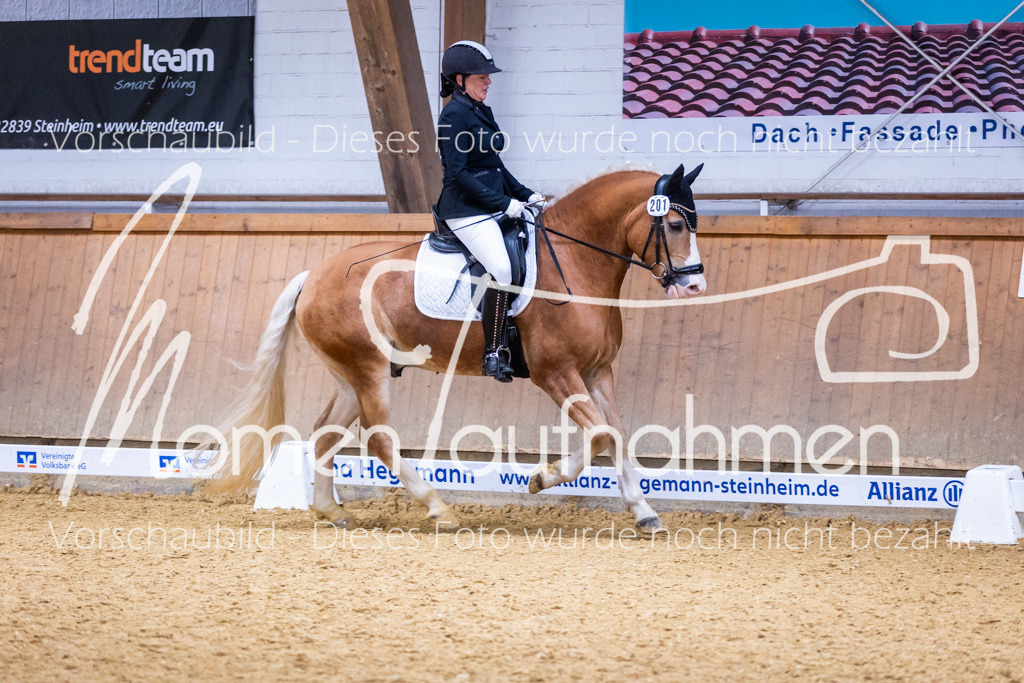 Sth-A-Dre-2St-045 | MomenTaufnahmen Pferdesportfotos