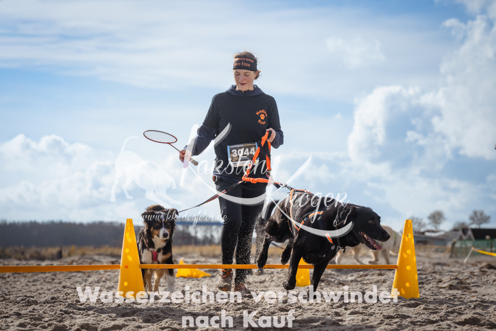 1318_ZZ91191 | kk-dogfotos