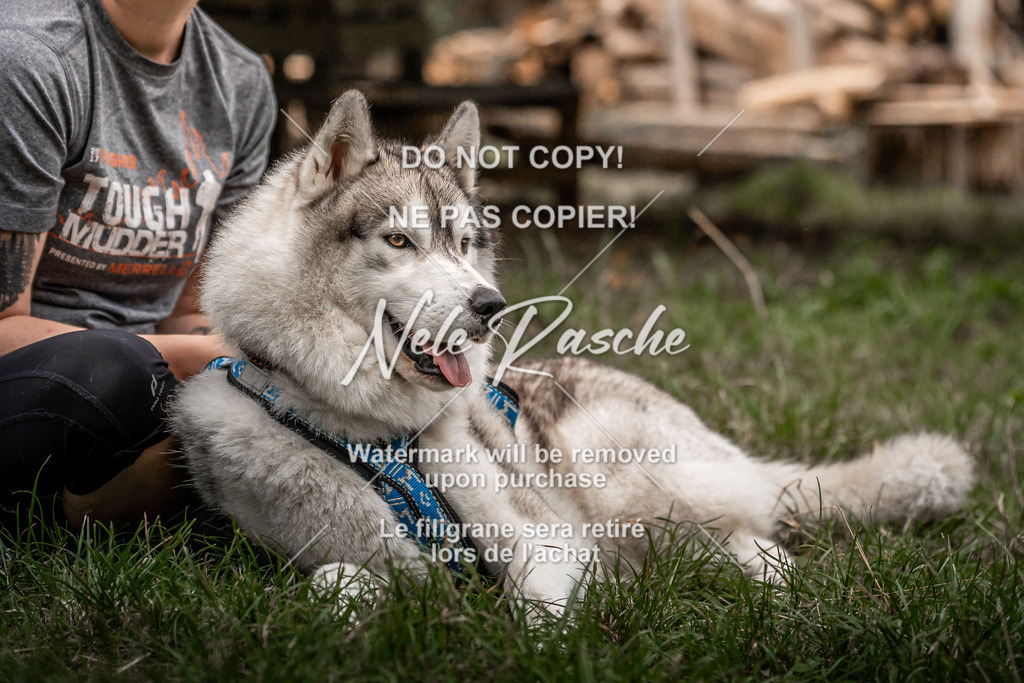 nelerasche_slaw24Fr1_118 | nelerasche