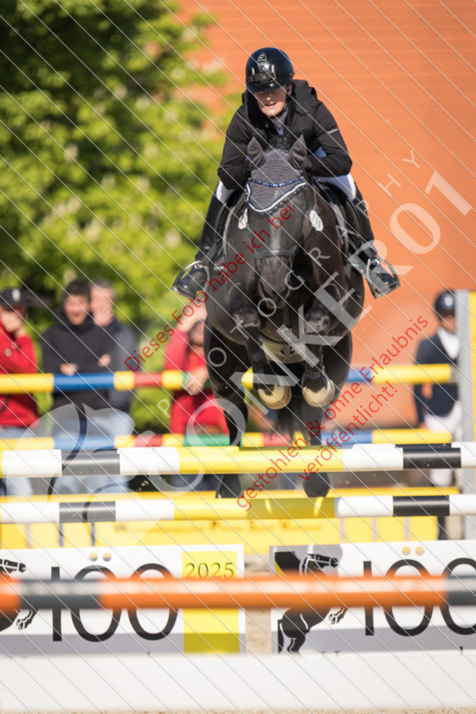 IMG_3365 | Sport-, Event- und Tierfotos in Profiqualität. Einfach auswählen, bestellen und herunterladen. Dein Moment – perfekt festgehalten.