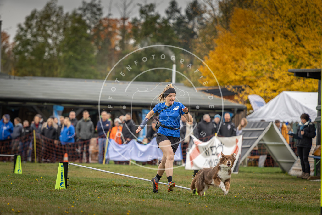 Pfotenfotografie_DV3A2989 | Hundefotografie, Tierfotograf, Pfotenfotografie, Fotoshooting Hund, Hunde Portrait, Hundesport, Hundeportraits, Heideshooting, Hunde, Sportfotograf, Hundefotograf, Turnierhundsport, THS,  - Realisiert mit Pictrs.com