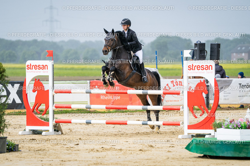 DSC04099 | Pferdegrafie